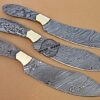 Kitchen Knives Blank